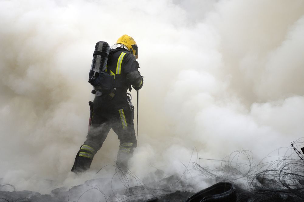 Photograph by Алексей Савенков