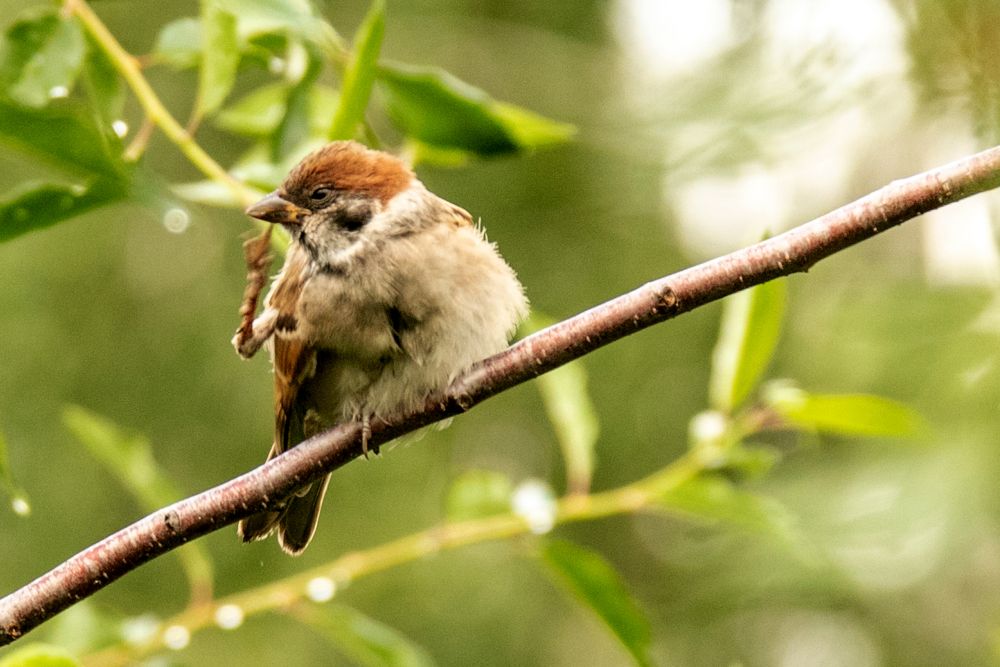Photograph by Валерий Шорохов