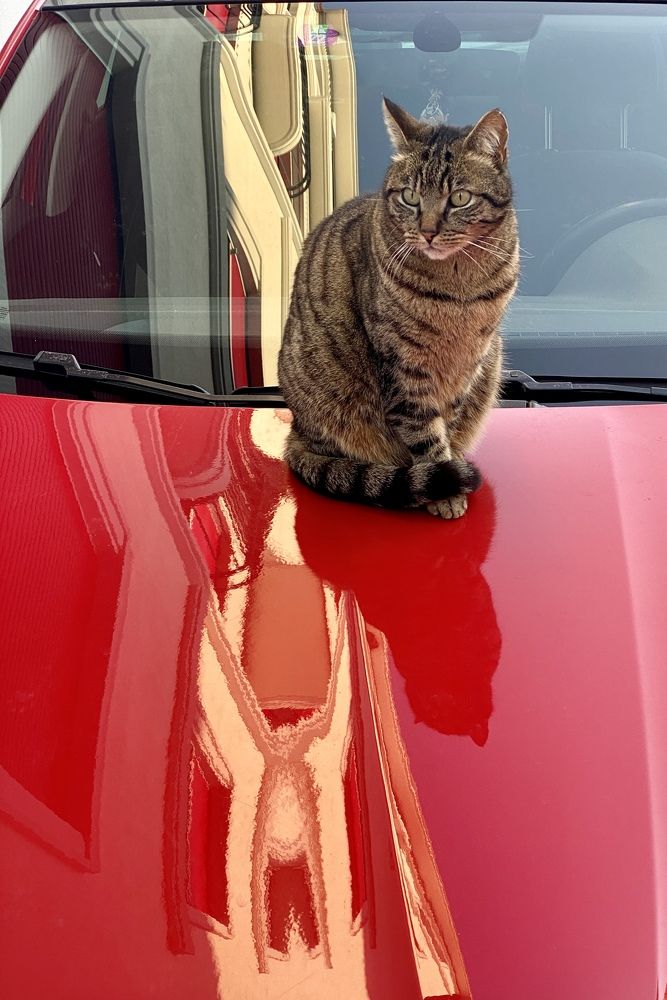 Photograph by Elena Sobol