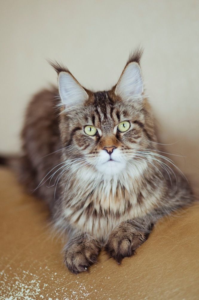 Photograph by Elena Sobol