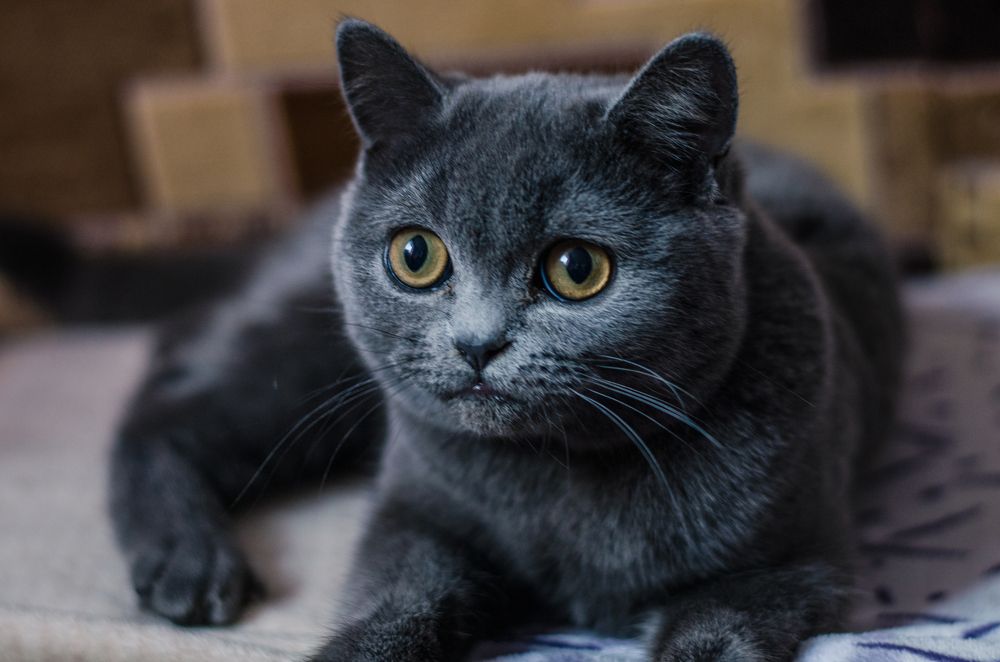 Photograph by Виталий Дрынов