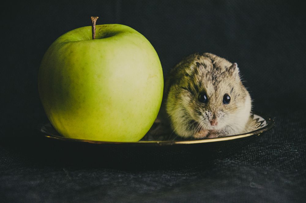 Photograph by Виталий Дрынов