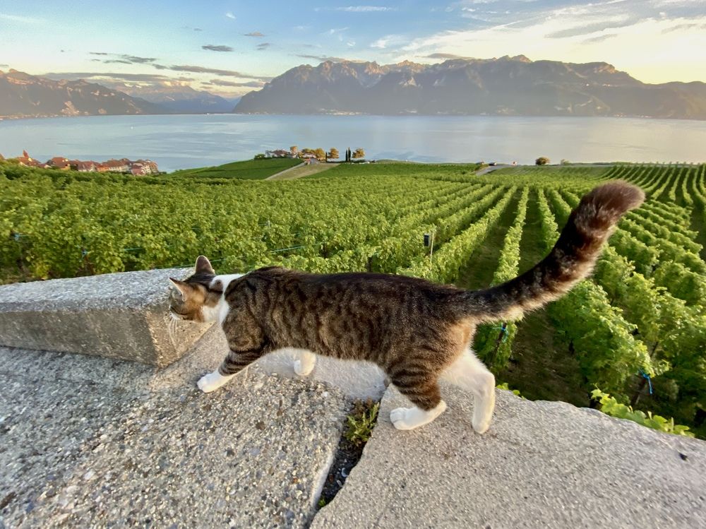 Photograph by Elena Sobol