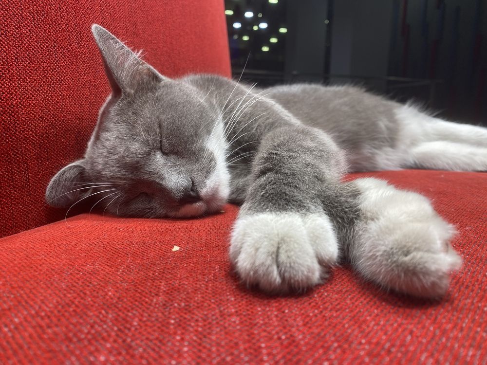 Photograph by Elena Sobol