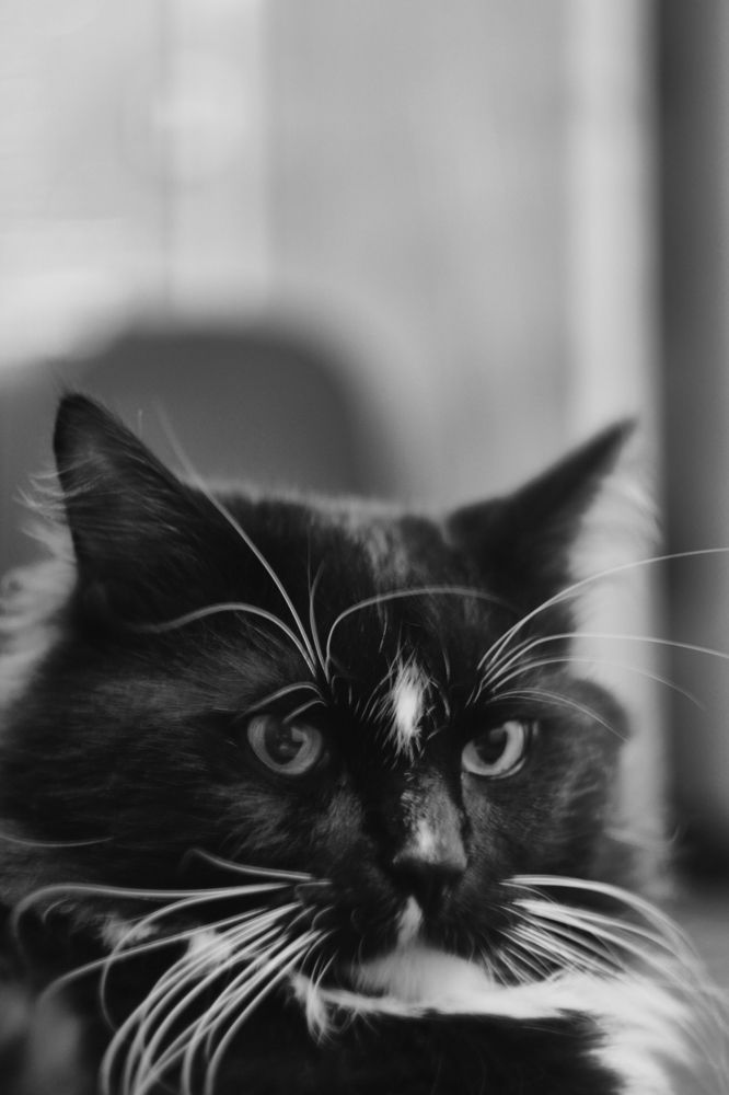 Photograph by Виктор Ивагин