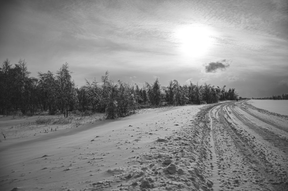 Photograph by Виталий Дрынов