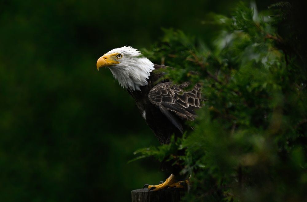 Photograph by Nathalie Talbot