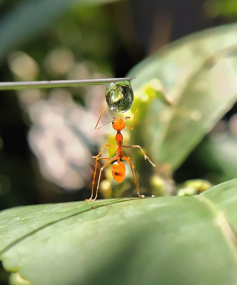 Photograph by Bhaskar Mondal