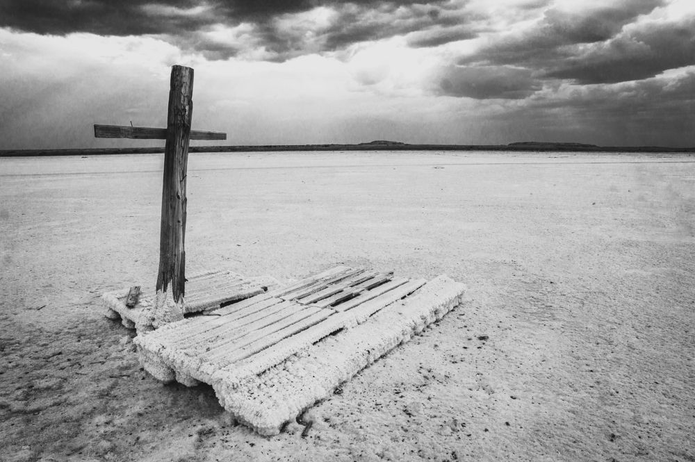 Photograph by Игорь Окунев