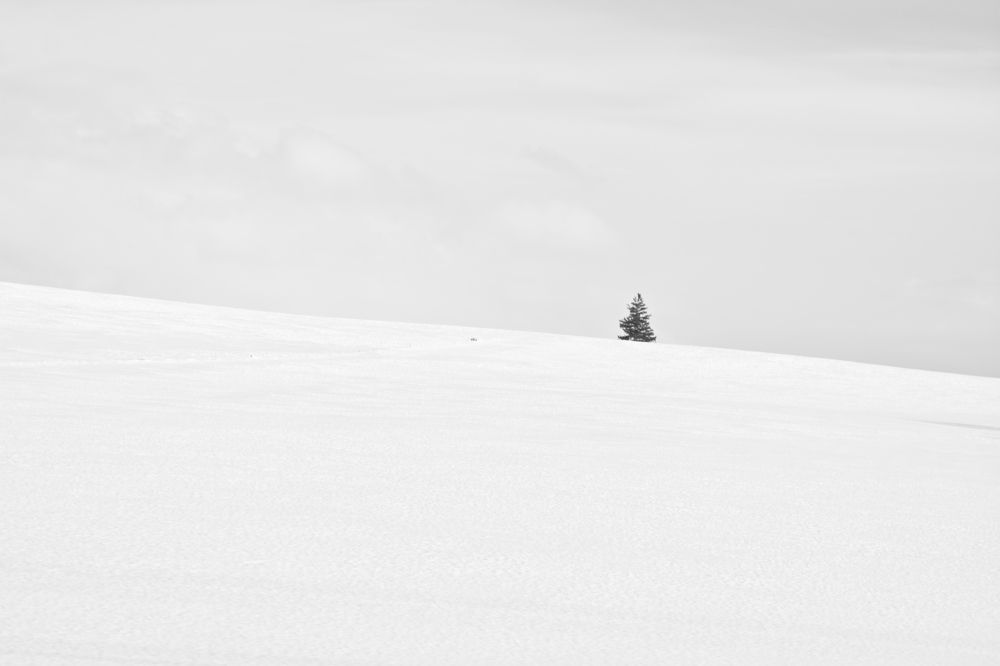 Фотография автора Sen Abhijit