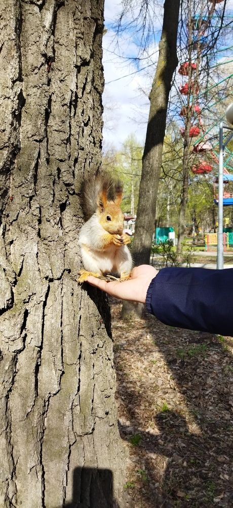 Photograph by Земфира Пак