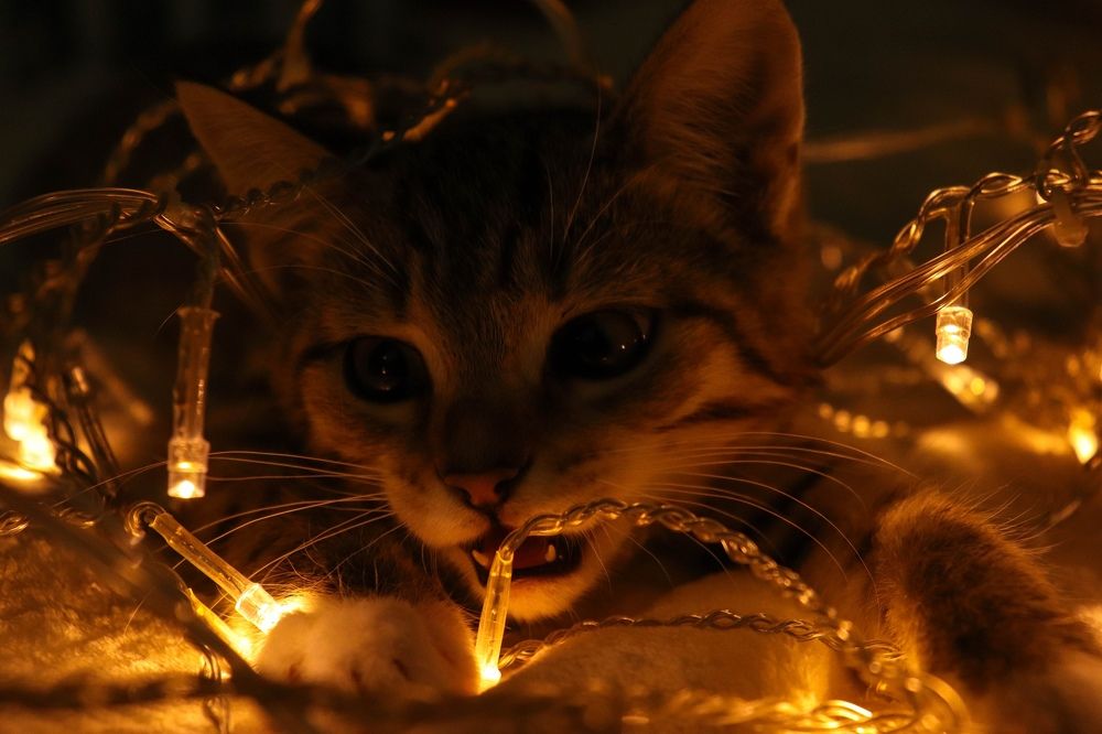 Photograph by Оксана Двойникова