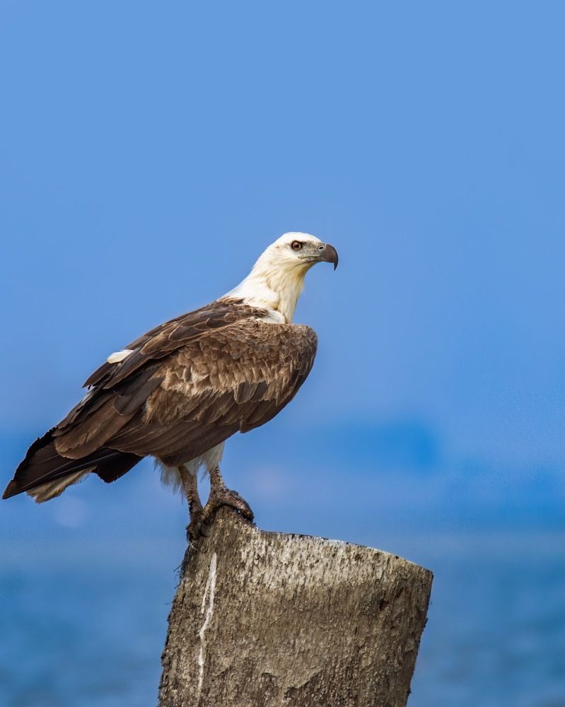 Photograph by Sugan Murali