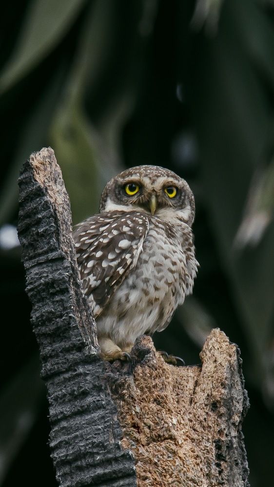 Photograph by Sugan Murali