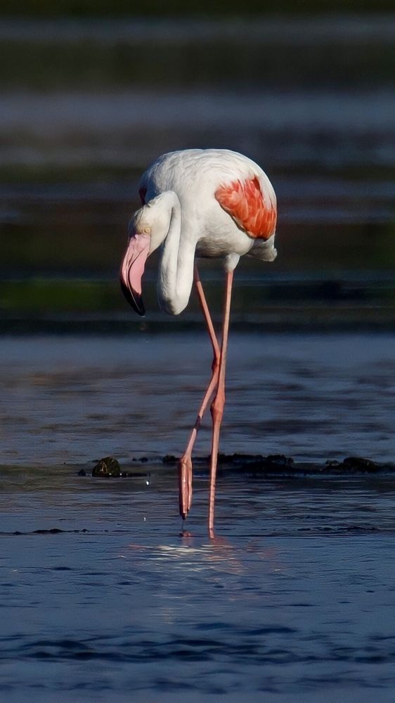 Photograph by Sugan Murali