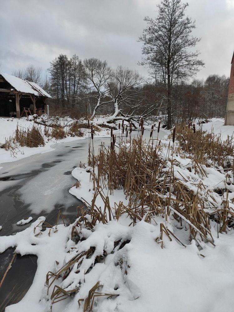 Photograph by Ирина Русинович