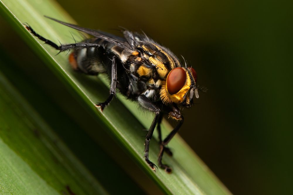 Photograph by MARÍA CECILIA REY
