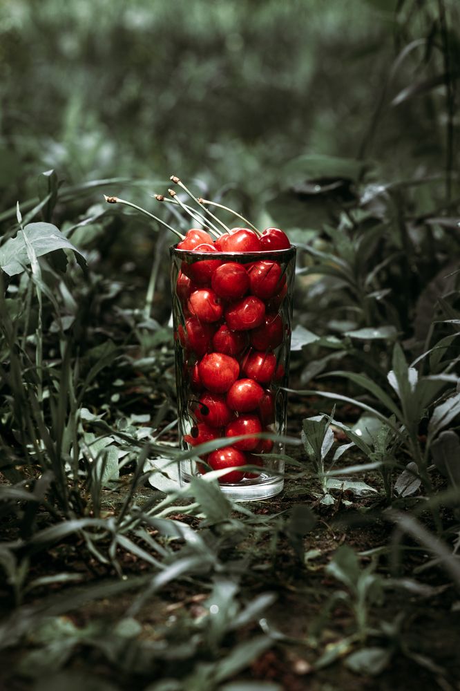 Photograph by Степан