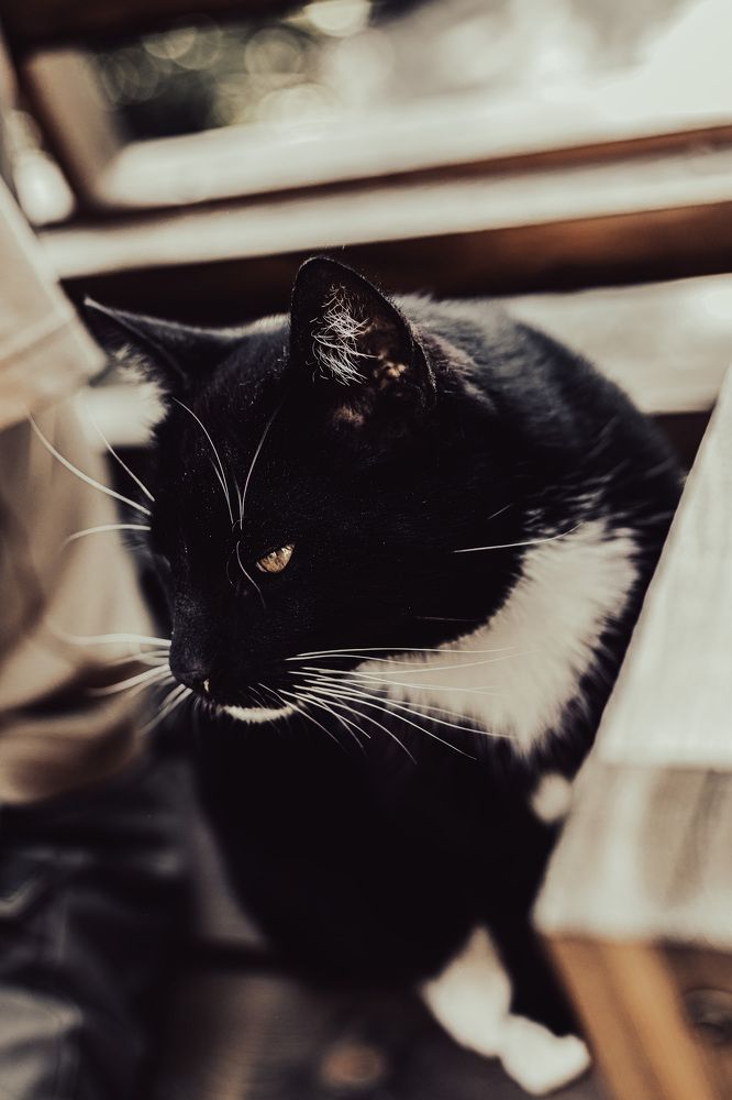 Photograph by Maria Fedorova