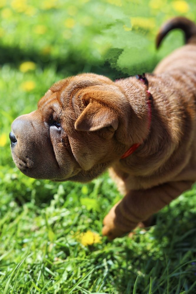 Photograph by Maria Fedorova