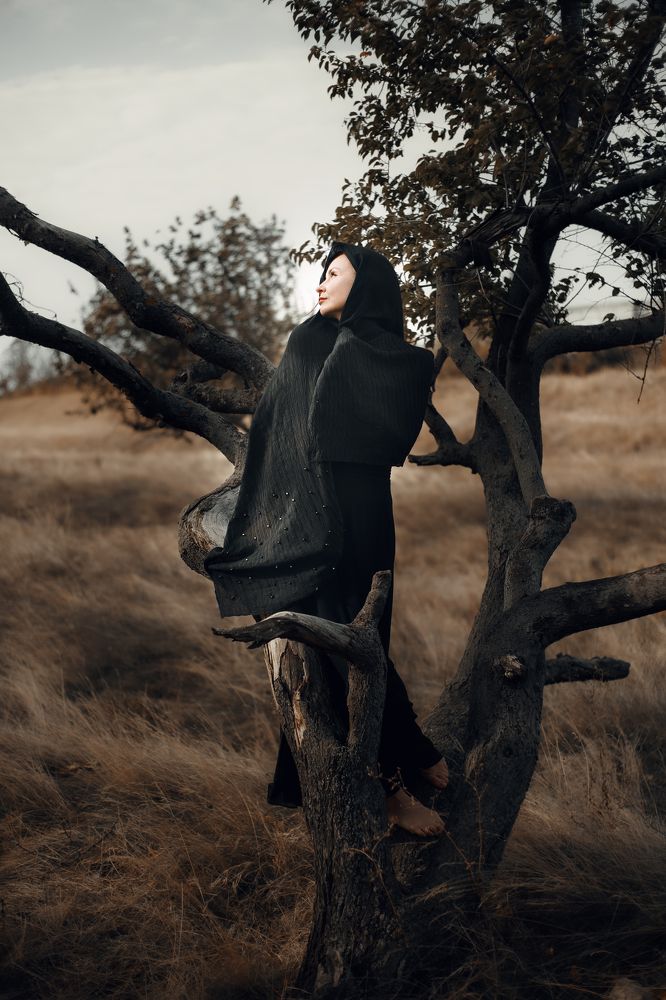 Photo #7686721