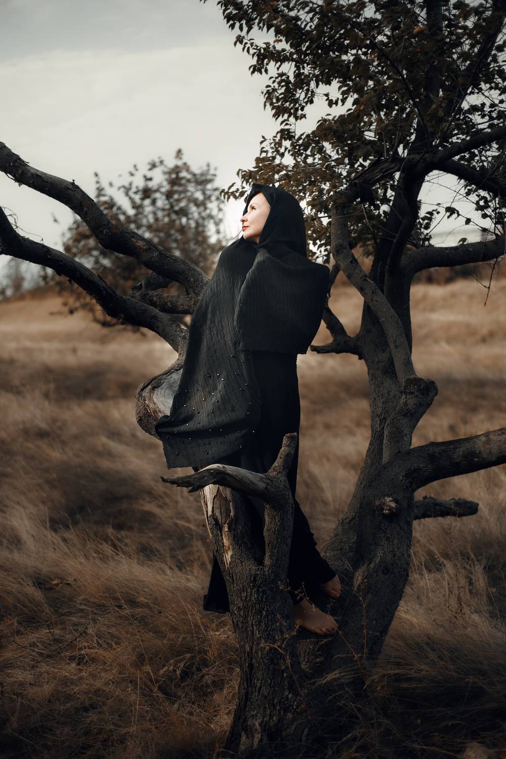 Photo #7686721