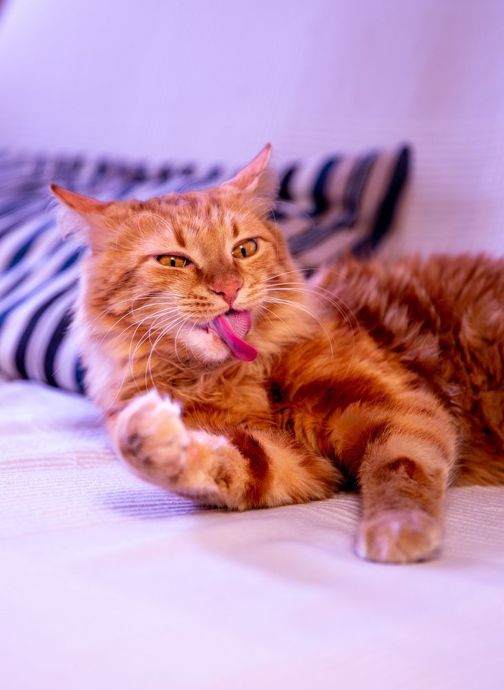 Photograph by Nasir Javed