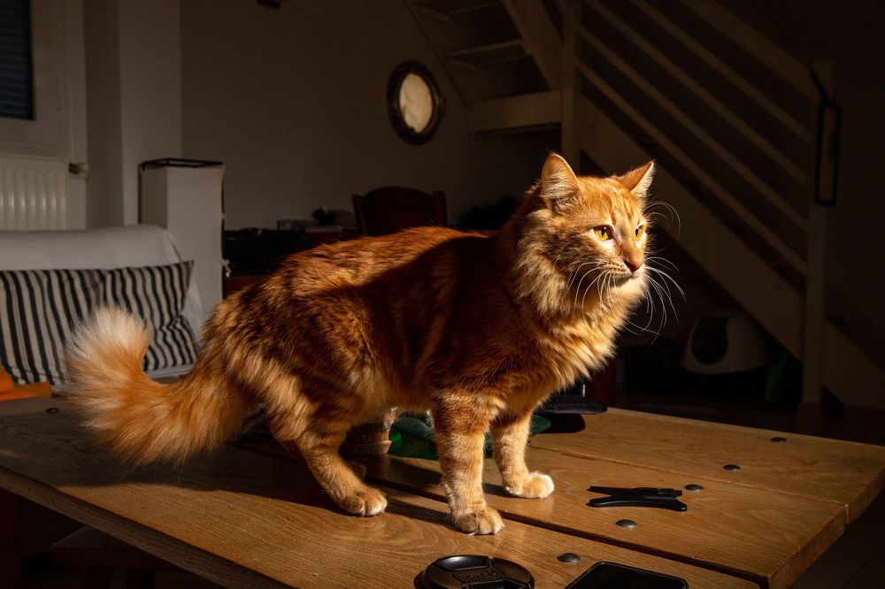 Photograph by Nasir Javed