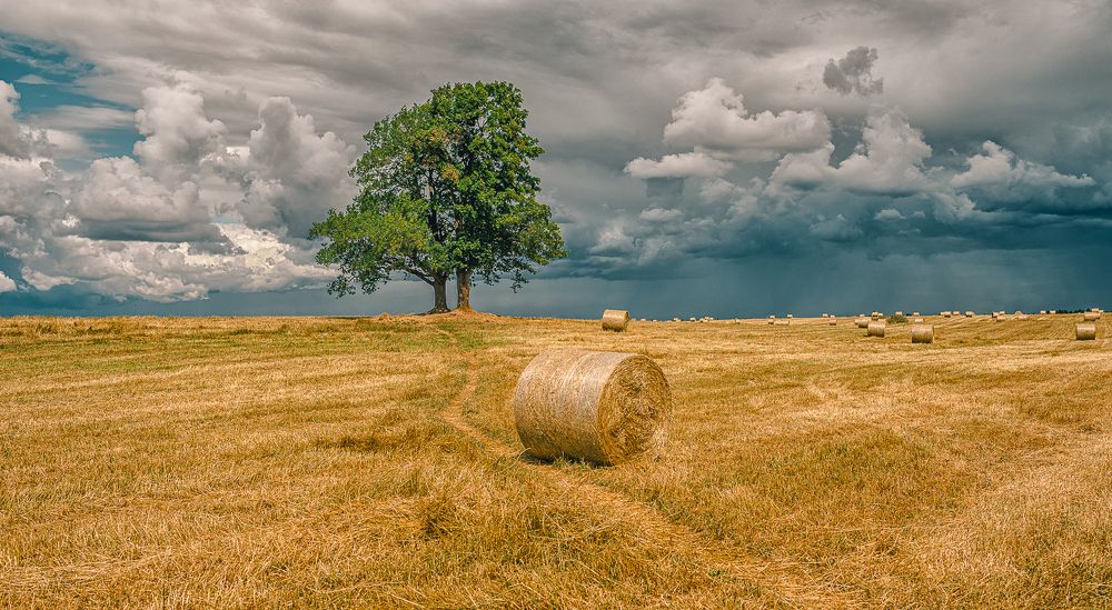 Перед грозой...