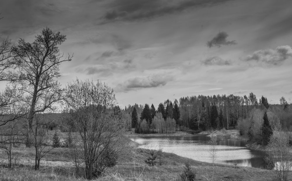 Фотография автора Виктор Руденко