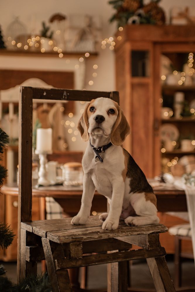 Photograph by Дарья Диас Валдес (Исачкина)