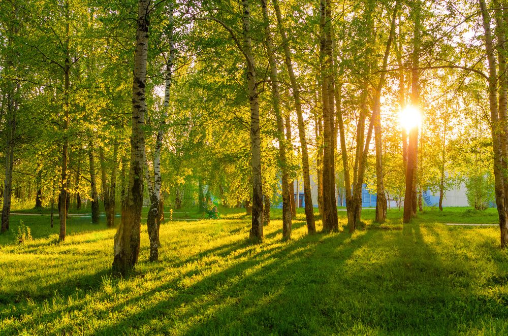 Photograph by Артём Шестаков