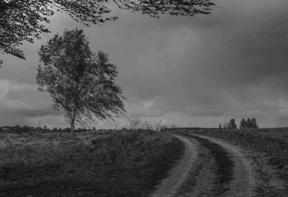 Фотография автора Виктор Руденко