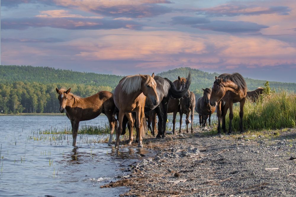 Photograph by Валерий Шорохов