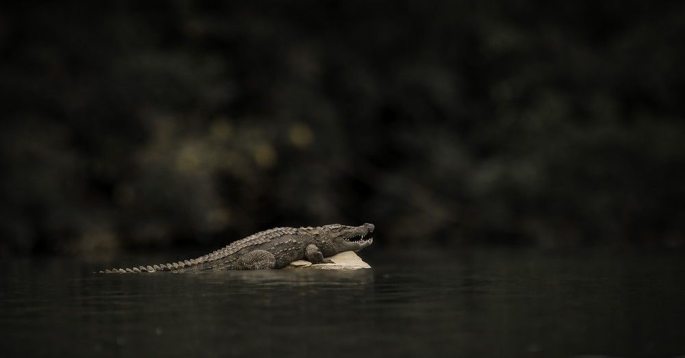 Photograph by Bidyut Saikia