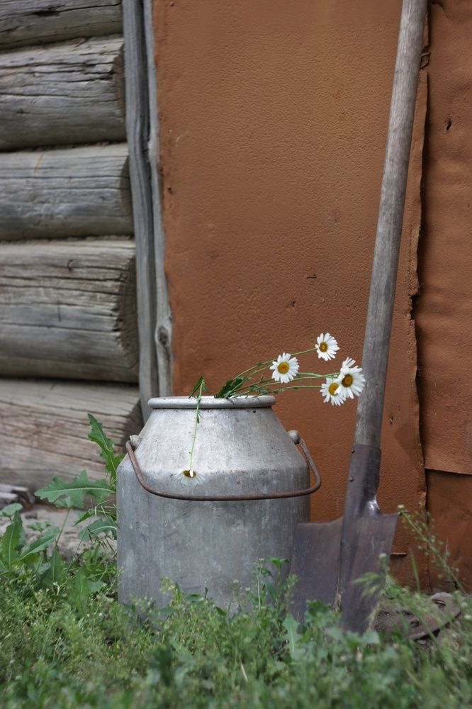 Photograph by Татьяна Аршинова