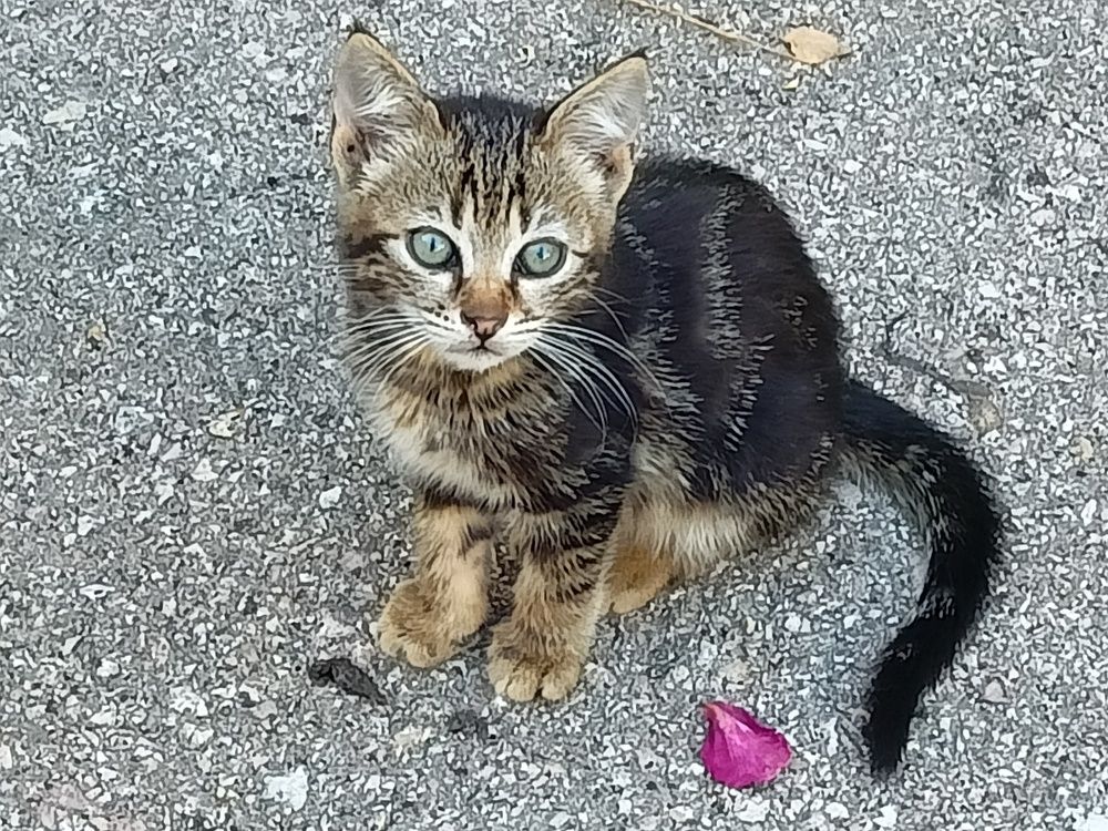 Photograph by Сергей Борисов