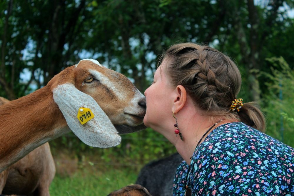 Photograph by Сергей Смоленцев
