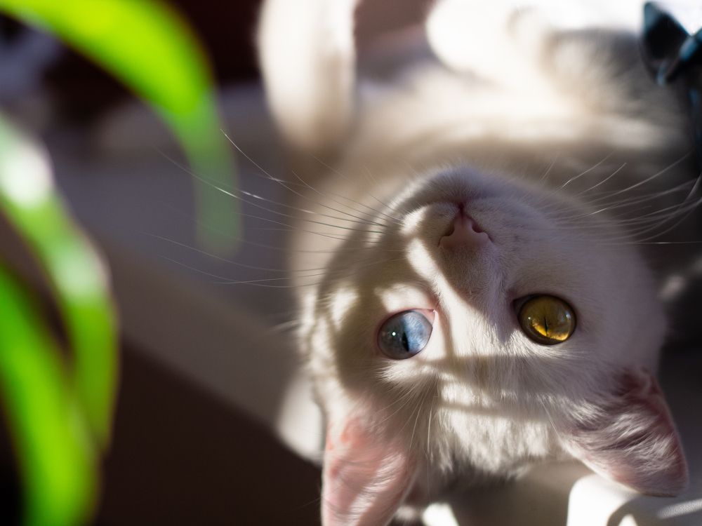 Photograph by Ольга Репина