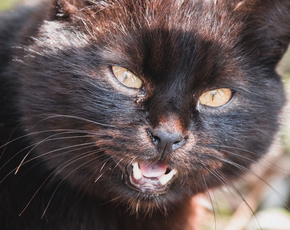 Photograph by Степан Ковыльчик