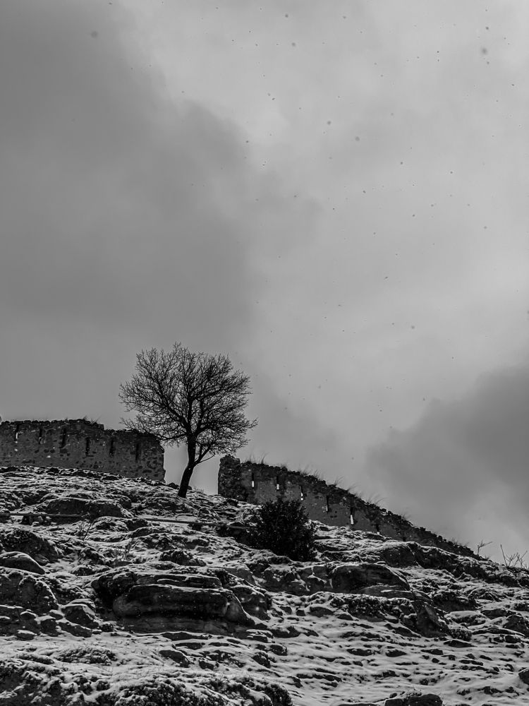 Photograph by Екатерина Меньшакова