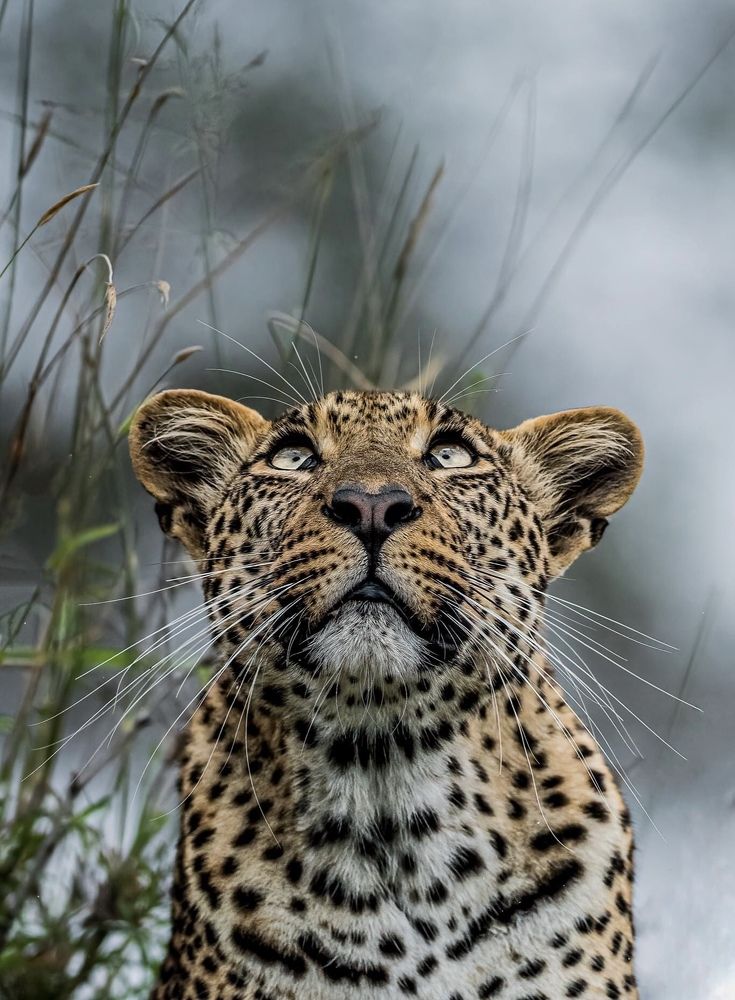 Photograph by Athumani Zuberi