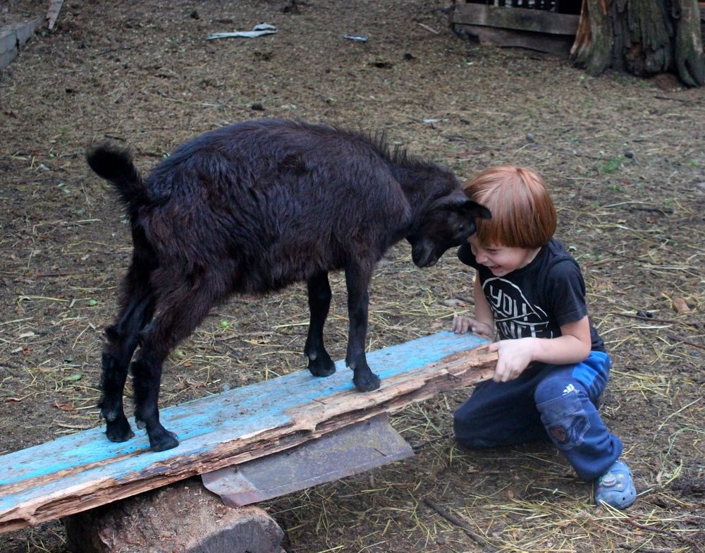 Photograph by Сергей Смоленцев