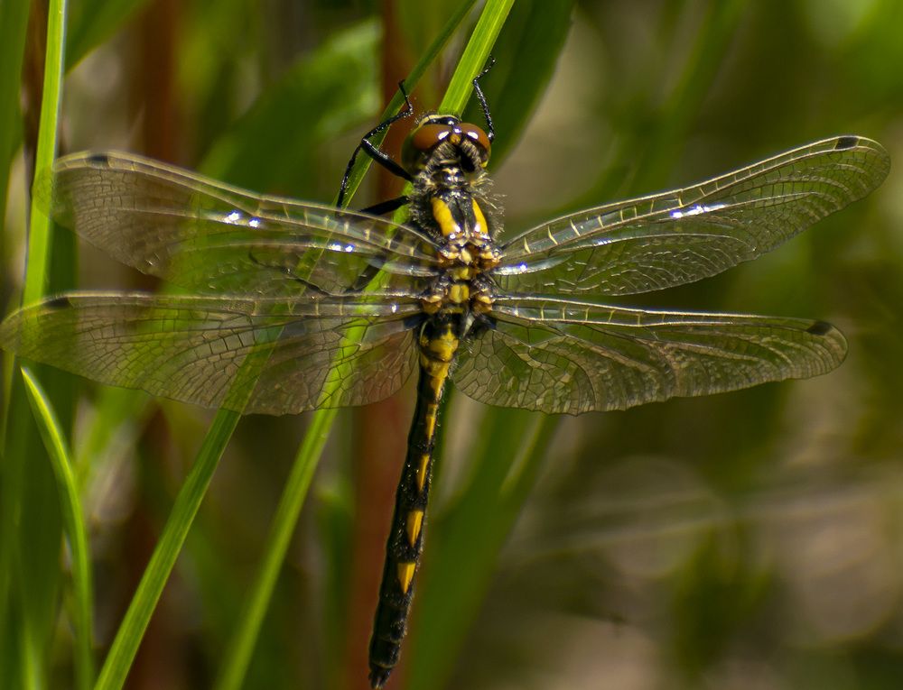 Решила отдохнуть