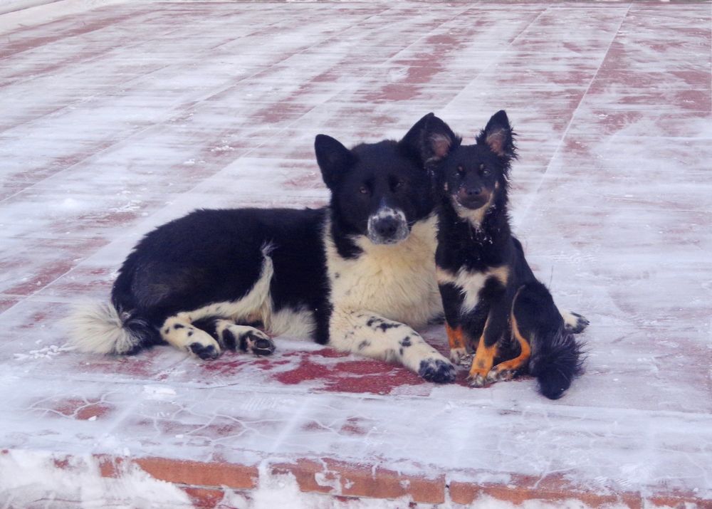 фото-модели