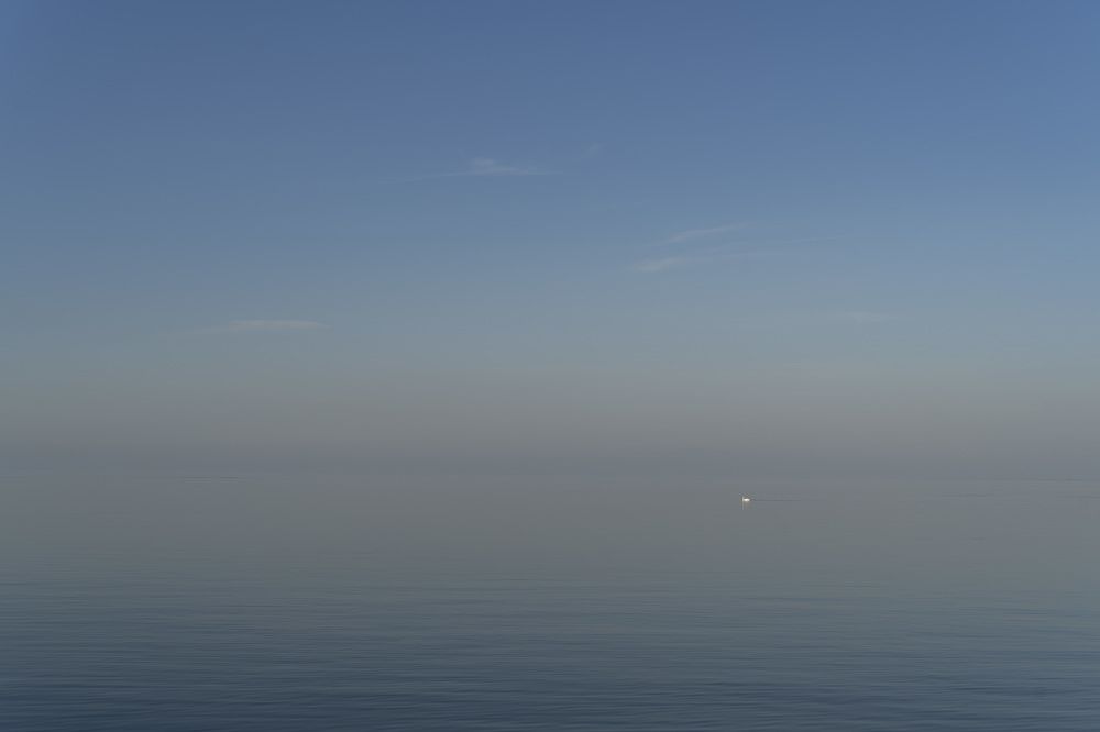 Photograph by косяк