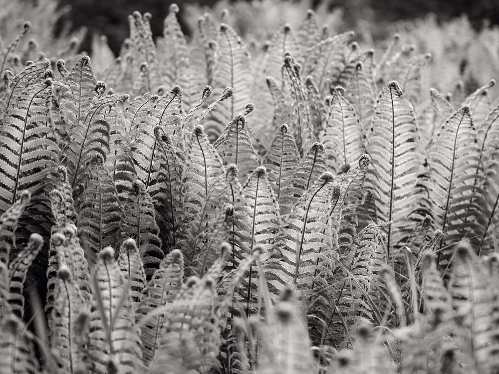 Photograph by Юлия Золотухина