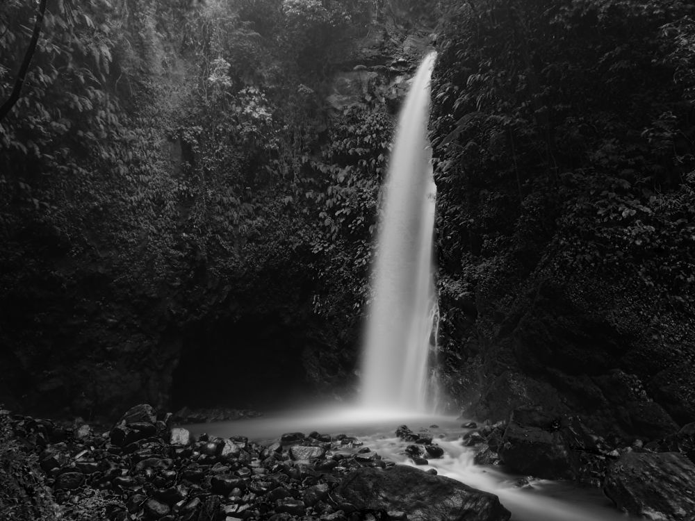 Photo #7687006