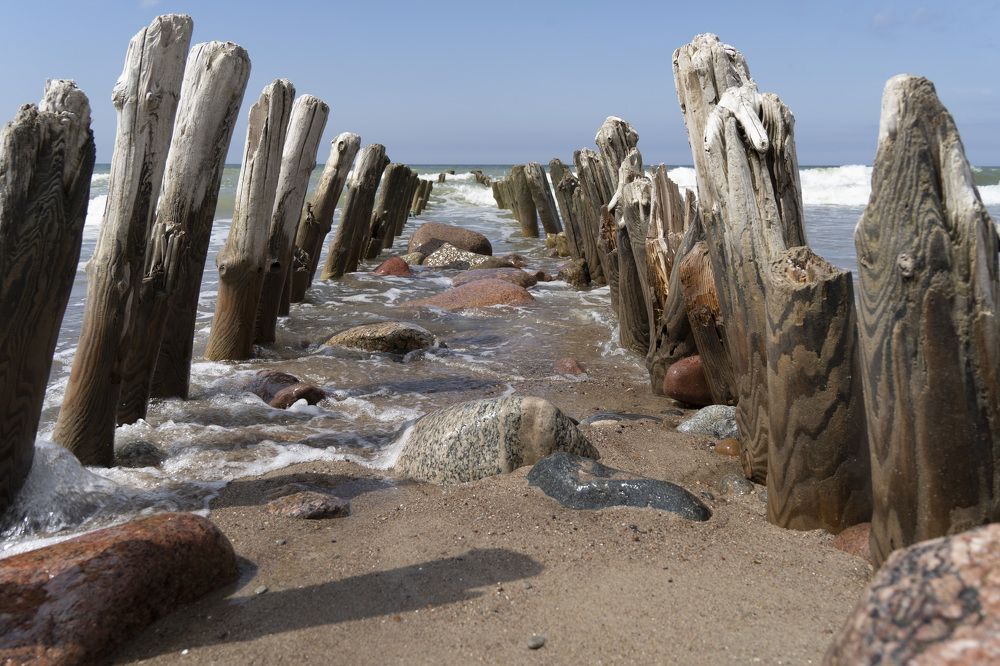 Photograph by косяк