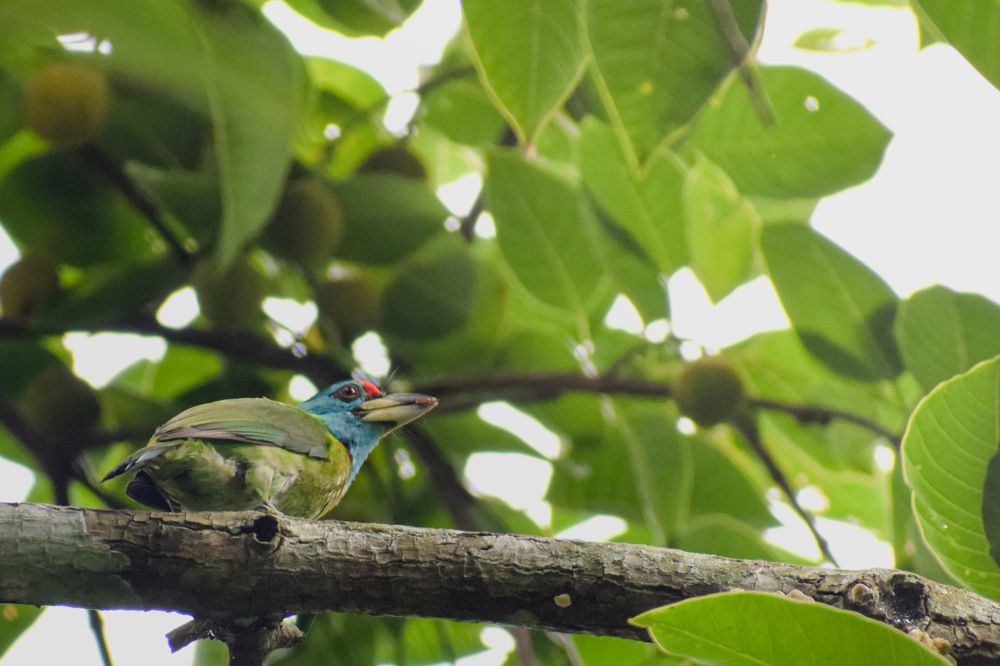 Photograph by Pritam Mandal